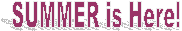 SUMMER is Here!